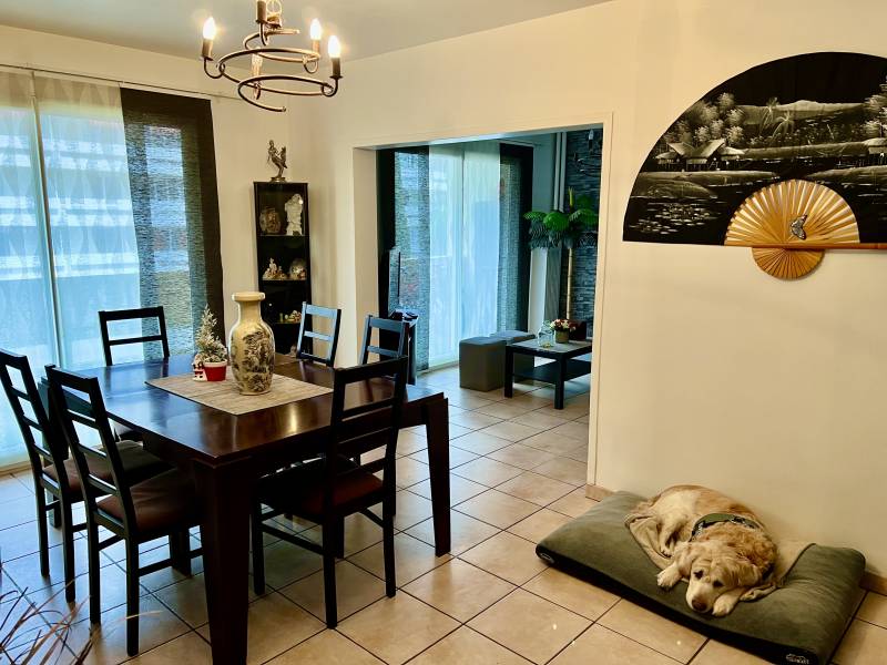 Toulon Mayol T5 Familial 