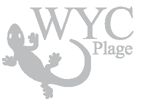 WYC restaurant 